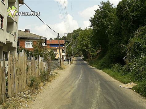 Saraykoy Halı ve Koltuk Yıkama