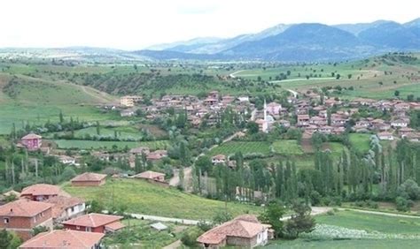 Sarayozu Halı ve Koltuk Yıkama