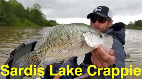 Sardis lake fishing report. Monday, Oct 09 2023. Lake Perris has slowed down on the bass fishing all around the lake. Some fishermen have been able to get some bass off the rocks after walking down … 
