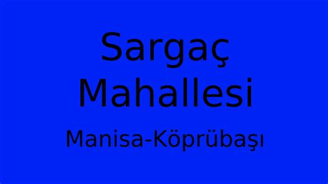 Sargac Halı ve Koltuk Yıkama