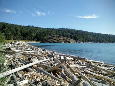 Sargeant Bay Provincial Park (Halfmoon Bay) - Tripadvisor