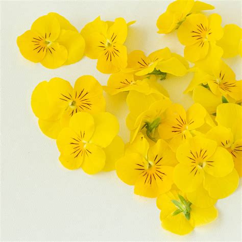 Sarimenekse Halı ve Koltuk Yıkama