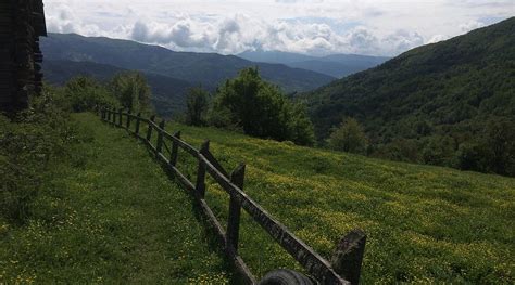 Sarimese Halı ve Koltuk Yıkama