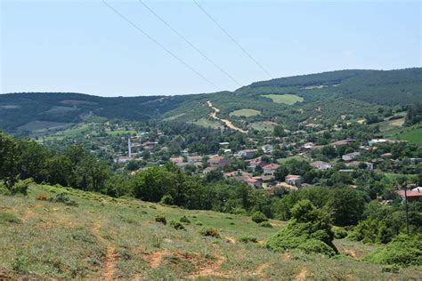 Saripolat Halı ve Koltuk Yıkama
