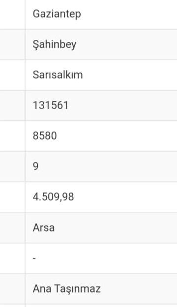 Sarisalkim Halı ve Koltuk Yıkama