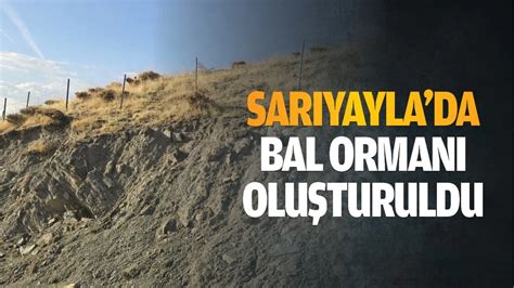 Sariyayla Halı ve Koltuk Yıkama