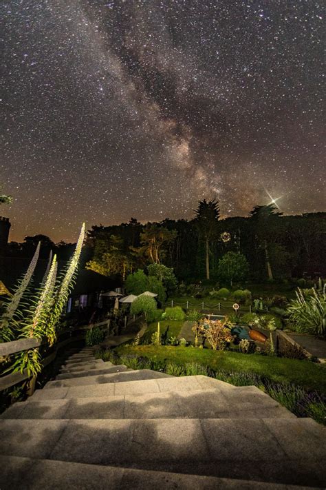 🍌 +18 Sarkafterdark Leaks