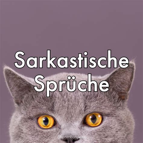 th?q=Sarkastische sprÃ¼che whatsapp