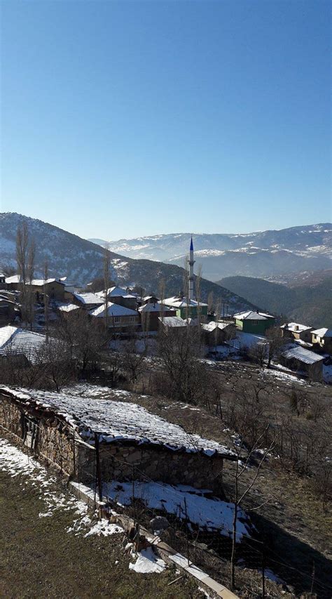 Sarkatlar Halı ve Koltuk Yıkama