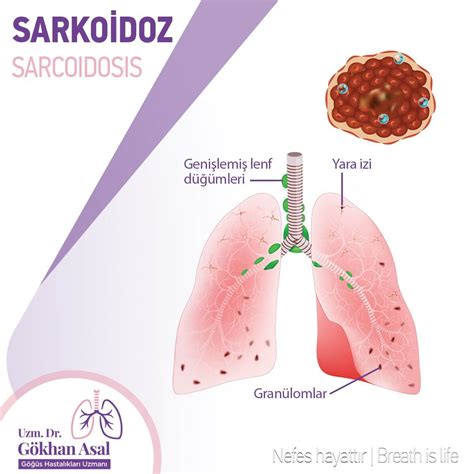 codini.rgarabwor.edu.pl. 