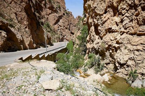 Sartak Halı ve Koltuk Yıkama