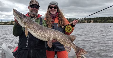 Saskatchewan Northern Pike Trout Fly In Remote Fishing Camp