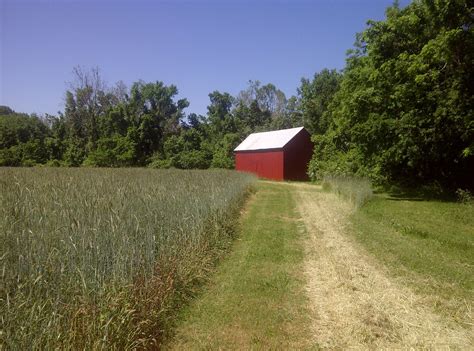 Sassafras Creek Organic Farm - da-dk.facebook.com