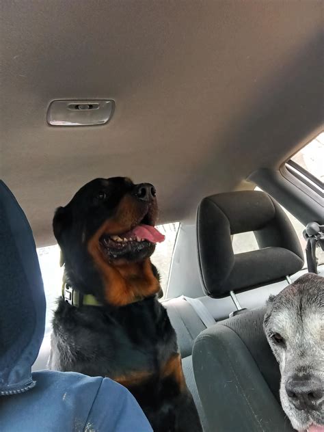 😈 Satansproblem Leaked [SEX VIDEO] 213 Photos