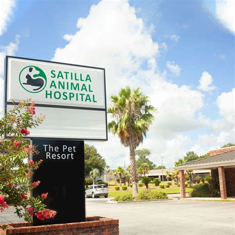 Satilla animal hospital. Things To Know About Satilla animal hospital. 