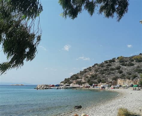 Satirli Halı ve Koltuk Yıkama