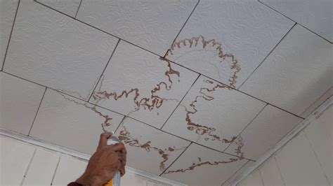 Satisfying video of Ceiling tiles stain patch removal How to repair ...