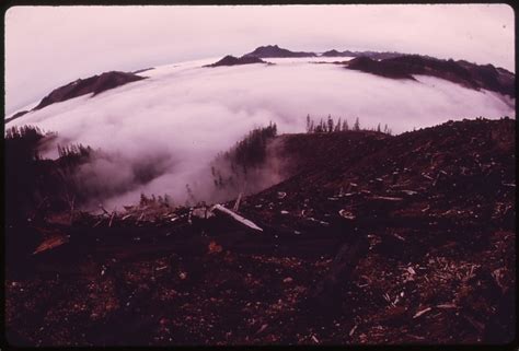 Satsop Hills Wiki - everipedia.org