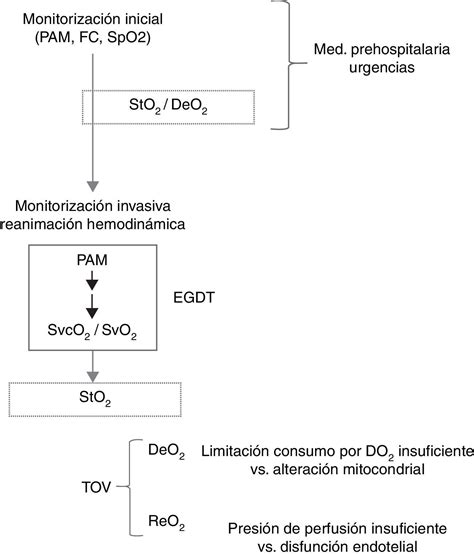 Saturación tisular de oxígeno en el paciente crítico Medicina …