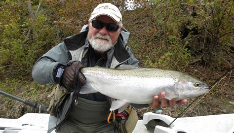 Saugeen River Steelhead: Grindstone Angling Northern