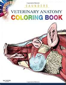 Saunders veterinary anatomy coloring book 1e. - Pyramid study guide delta sigma theta alpha.