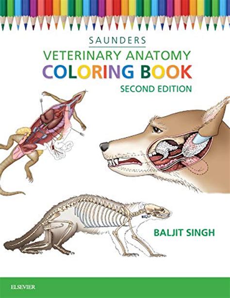 Download Full Download Saunders Veterinary Anatomy Coloring Book By Baljit Singh File In Pdf Format