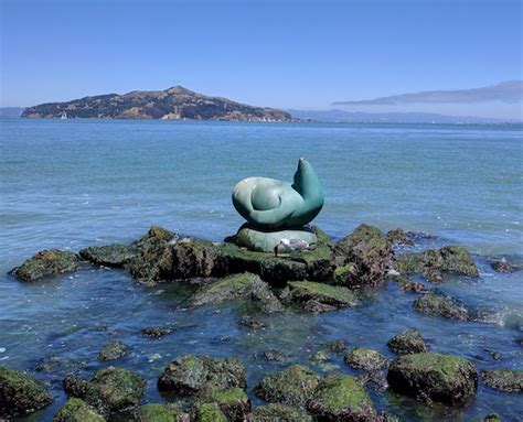 Sausalito sea lion sculpture awaits permits to return home