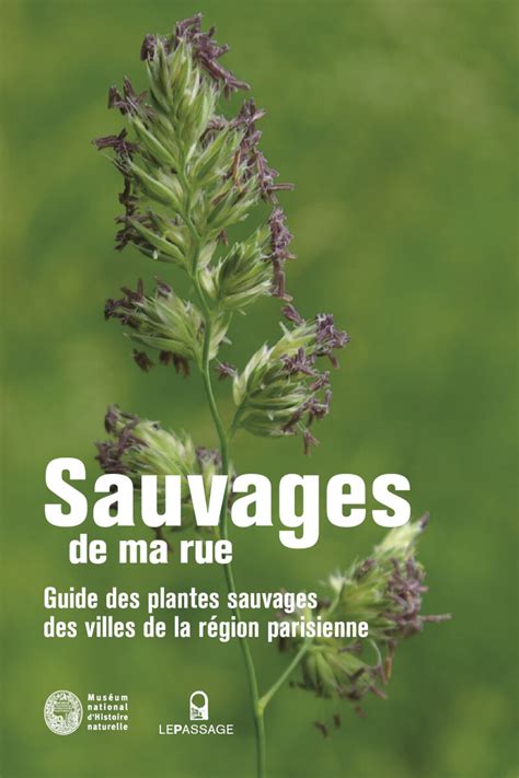 Sauvages de ma rue guide des plantes sauvages des villes de france. - Ktm 1190 rc 8 replacement parts manual 2009.