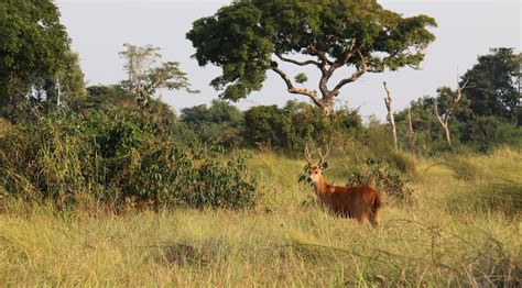 Savana Onlyfans Leaked +18 164 Pics