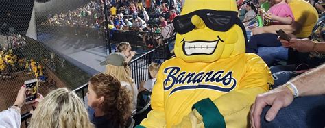 The Savannah Bananas announced Thursday night that Cleveland's Progressive Field will be a stop on the baseball team's 2024 season. The exhibition barnstorming baseball team − known for its antics on and off the field − will play at the home of the Guardians on Aug. 10. The Bananas will also play games at Huntington Park in Columbus May 24-26.. 