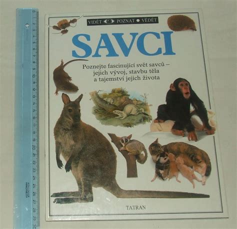 Savci Halı ve Koltuk Yıkama