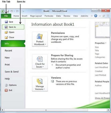 Save Excel 2010 software