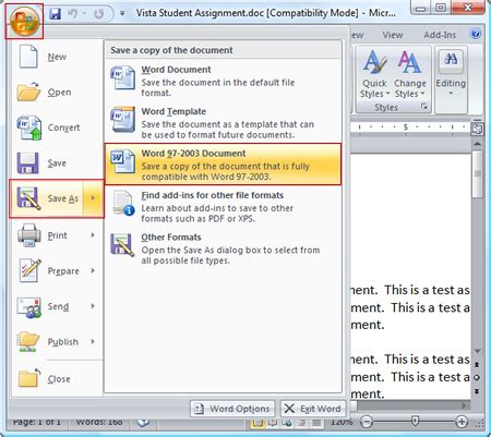 Save MS Word 2009 portable
