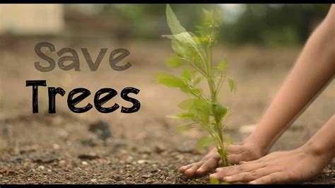 Save a tree. Things To Know About Save a tree. 