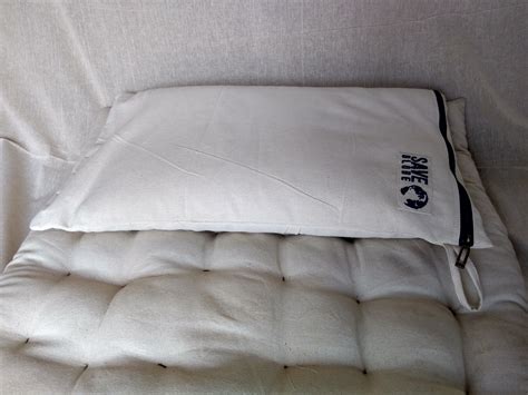 SaveGlobe’s Eco Friendly Rice Husk Pillow