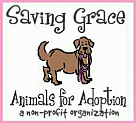 Saving grace animal adoption nc. Begin email communications with the Adoptions team as soon as possible. ( Adoptions@savinggracenc.org) Request and receive a scheduled, confirmed appointment to return your dog. adoption packet including rabies vaccination certificates and tags and microchip information. Remember: a partial refund of … 