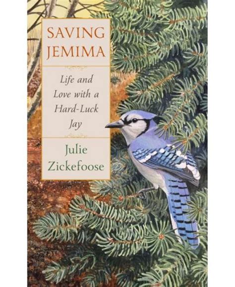 Read Online Saving Jemima Life And Love With A Hardluck Jay By Julie Zickefoose