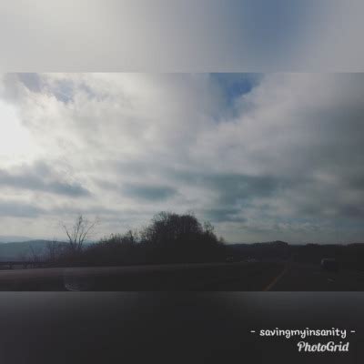 Savingmyinsanity Leaked [CLIP] 🍆 217 Vids