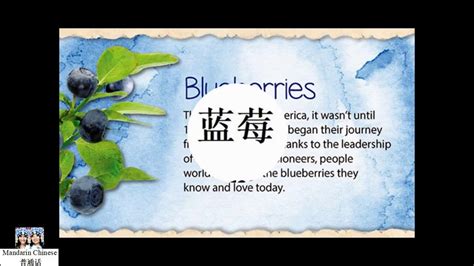 Say Blueberry in Mandarin Chinese - YouTube