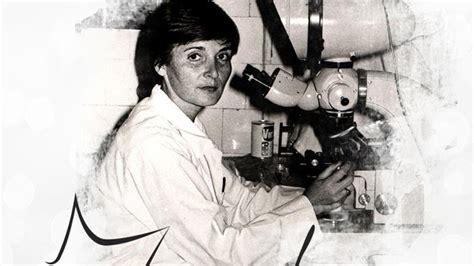 Saylan Halı ve Koltuk Yıkama