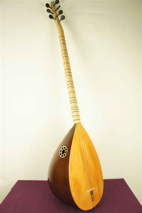 Saz Halı ve Koltuk Yıkama