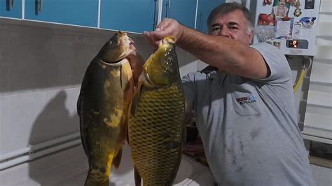 codini.rgarabwor.edu.pl. 