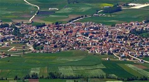 Sazyaka Halı ve Koltuk Yıkama