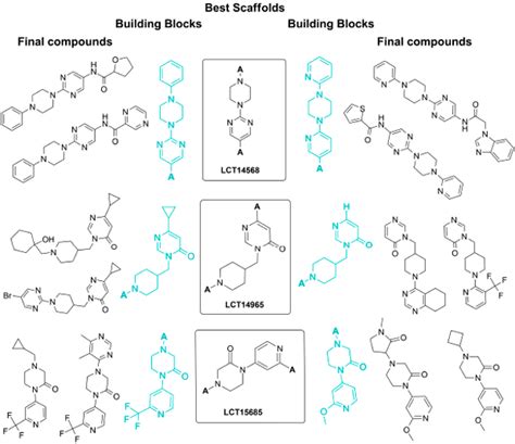 Scaffolds and Scaffold-based Compounds - Life Chemicals