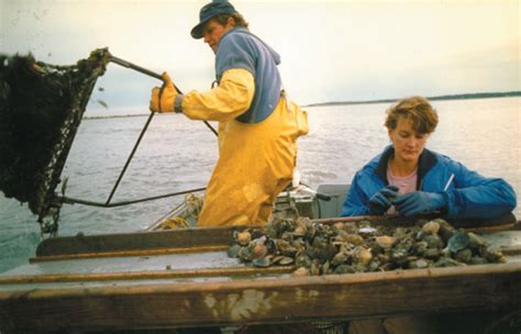 Scallops Season Returns, and the Question is Butter or Not