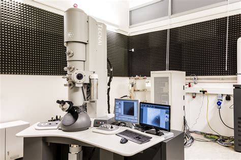 Scanning Electron Microscopy Central Microscopy Research …