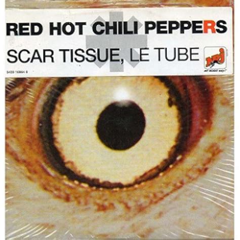 Scar Tissue Red Hot Chili Peppers (intro) #guitar #shorts