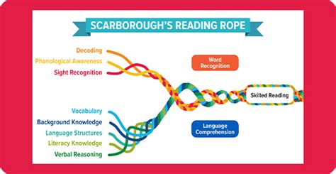 Scarborough Rope Model