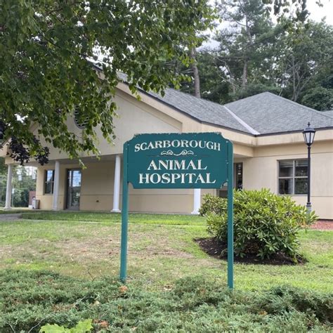 Scarborough animal hospital. Things To Know About Scarborough animal hospital. 