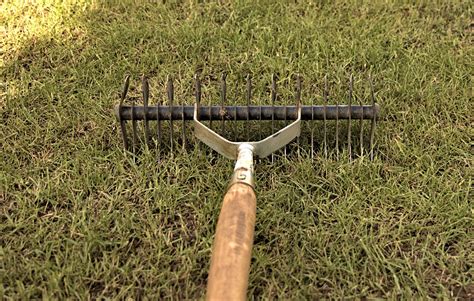 Scarifying lawn. Power rakes or lawn scarifiers are machine powered and use steel blades to cut out thatch. When this process is performed on the surface of the lawn it is ... 